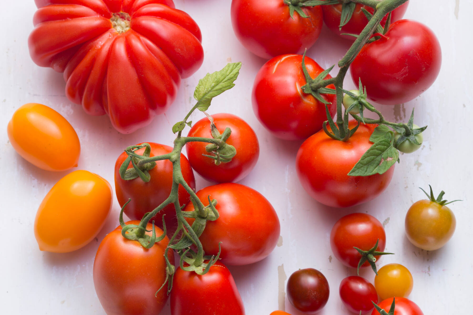 Tomaten Warenkunde | Saison, Aufbewahrung & Sorten | Küchengötter