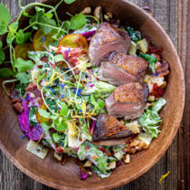 Wilder-Caeser-Salat-Taube-Utagleiser-Photography-5534 Wilder-Caeser-Salat-Taube-Utagleiser-Photography-5534