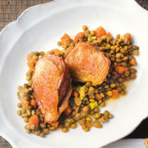 Gebratene Taubenbrust Gebratene Taubenbrust