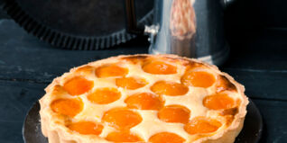 Aprikosenkuchen Aprikosenkuchen