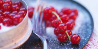 Johannisbeeren Rezepte und Tipps Johannisbeeren Rezepte und Tipps