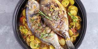 Doraden aus der Tajine Doraden aus der Tajine