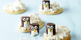 Pinguin auf Eisscholle Pinguin auf Eisscholle