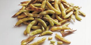 Sojabohnen Sojabohnen