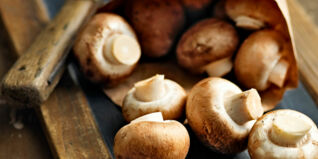 Pilze richtig zubereiten Pilze richtig zubereiten