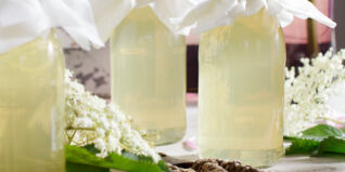 Holunderblütensirup Holunderblütensirup