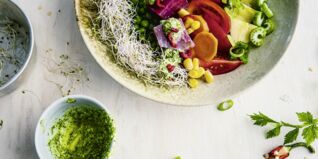 Tuna-Ceviche-Bowl Tuna-Ceviche-Bowl