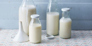 Milch-Alternativen Milch-Alternativen