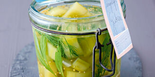 Eingelegte Gurken Eingelegte Gurken