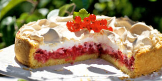 Johannisbeeren Rezepte für Kuchen und Torten Johannisbeeren Rezepte für Kuchen und Torten