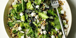 Grünkohlsalat Grünkohlsalat