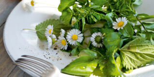 Brunnenkressesalat mit Wildkräutern und Blüten Brunnenkressesalat mit Wildkräutern und Blüten