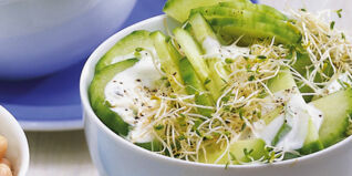Gurken-Sprossensalat Gurken-Sprossensalat