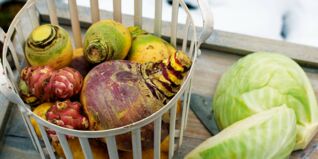 Saisonkalender Obst Gemüse November Saisonkalender Obst Gemüse November