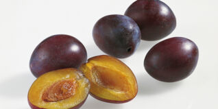 Zwetschgen Zwetschgen