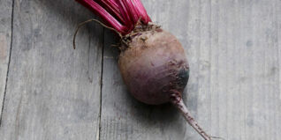 Detox Booster Rote Bete Detox Booster Rote Bete