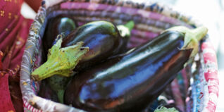 Sommerküche, Auberginen werden in einem Korb gehalten Auberginen Unterseite
