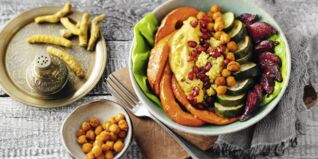 Golden Bowl Golden Bowl