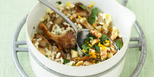 Herbstrisotto mit Austernpilzen Herbstrisotto mit Austernpilzen