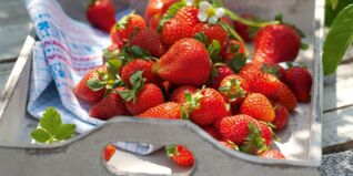 Saisonkalender Obst Gemüse Juni Saisonkalender Obst Gemüse Juni