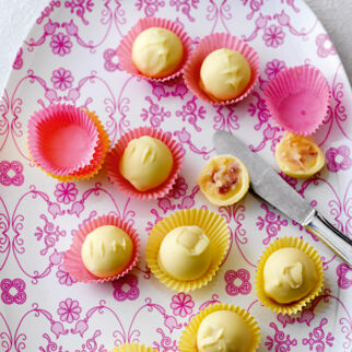 Erdbeer-Joghurt-Kugeln Erdbeer-Joghurt-Kugeln