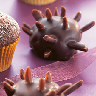 Schokoladen-Igel Schokoladen-Igel