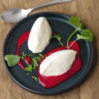 Frozen Joghurt mit Himbeerpüree Frozen Joghurt mit Himbeerpüree