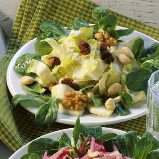 Apfel-Chicorée-Salat Apfel-Chicorée-Salat