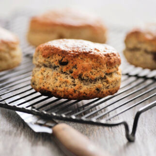 Scones simpel oder extravagant Scones simpel oder extravagant