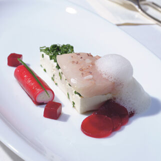 mouse-vom-huettenkaese mouse-vom-huettenkaese