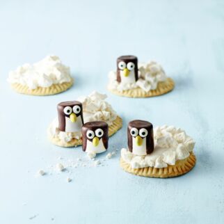 Pinguin auf Eisscholle Pinguin auf Eisscholle