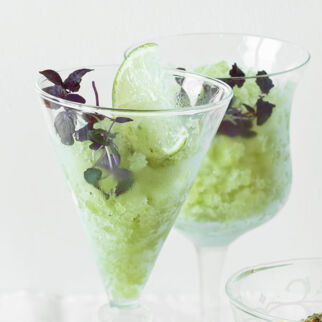 Gurken-Ingwer-Sorbet Gurken-Ingwer-Sorbet