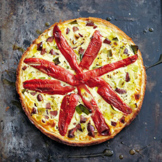 Paprikastern im Lauchbett Paprikastern im Lauchbett