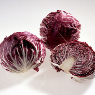 Radicchio Radicchio