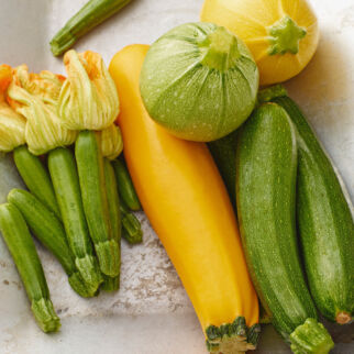 Zucchini Zucchini
