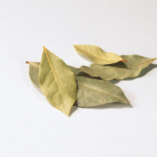 Lorbeerblätter Lorbeerblätter