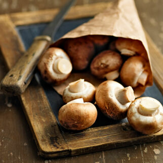 Pilze richtig zubereiten Pilze richtig zubereiten