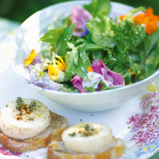 Kräuter-Blüten-Salat mit Ziegenkäse und Holundervinaigrette Kräuter-Blüten-Salat mit Ziegenkäse und Holundervinaigrette