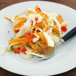 Fenchelsalat mit Orangendressing Fenchelsalat mit Orangendressing