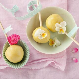 SOMMER-CAKE-POPS SOMMER-CAKE-POPS