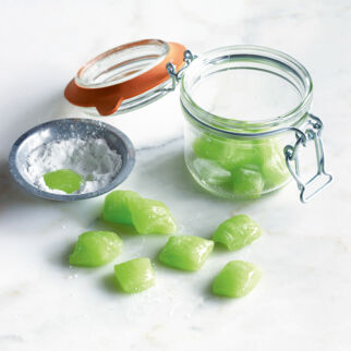 Pfefferminz-Seidenkissen Pfefferminz-Seidenkissen