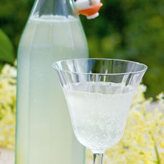 Holunderblüten-»Sekt« Holunderblüten-»Sekt«
