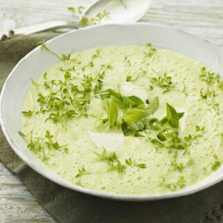 Kohlrabicremesuppe mit Kresse Kohlrabicremesuppe mit Kresse