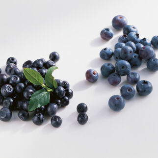 Heidelbeeren Heidelbeeren