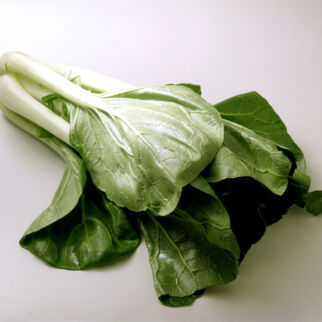 Pakchoi Pakchoi
