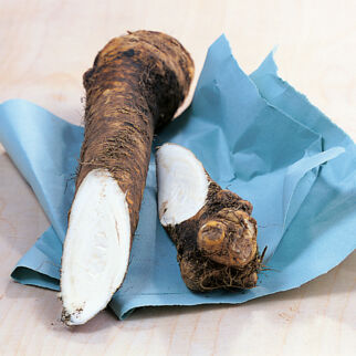 Schwarzwurzeln Schwarzwurzeln