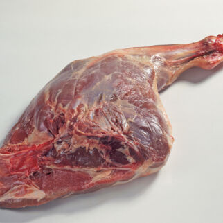 Wildschwein Wildschwein