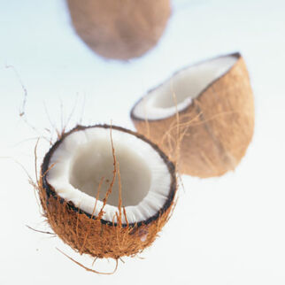 Wer hat die Kokosnuss geklaut? Wer hat die Kokosnuss geklaut?