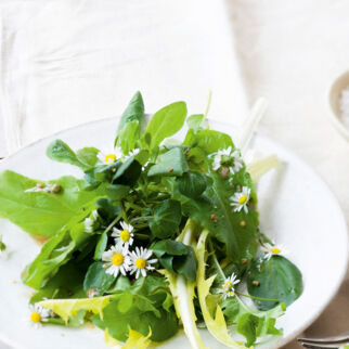Wildkräutersalat mit Holunderblüten-Dressing Wildkräutersalat mit Holunderblüten-Dressing