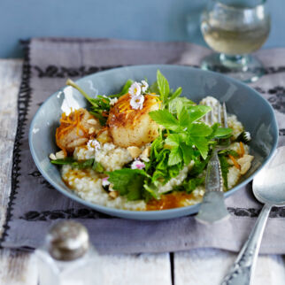 Giersch-Graupenrisotto Giersch-Graupenrisotto